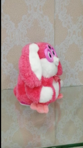 ارنوب ناطق